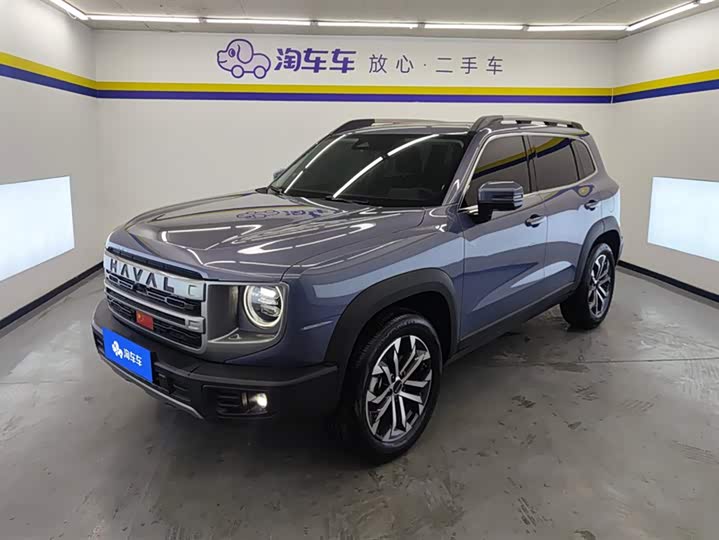 Haval Big Dog 2024 1.5T DCT Border Collie Edition