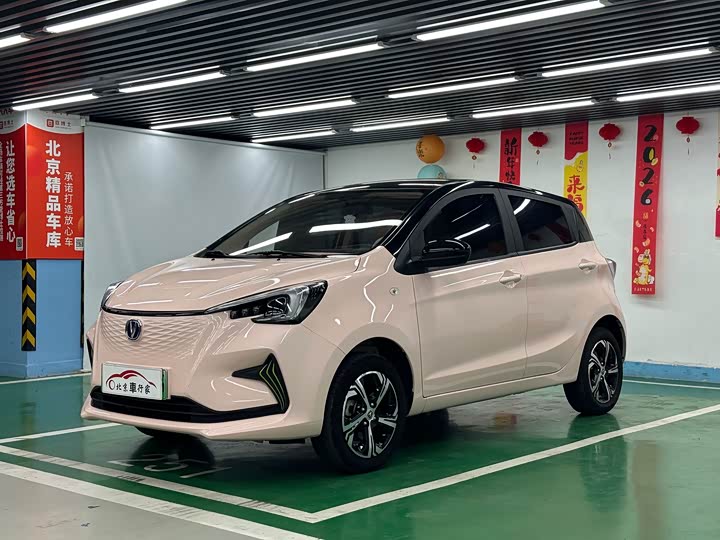Changan Benben E-Star 2022 Qingxin Edition Colorful Edition Lithium Iron Phosphate