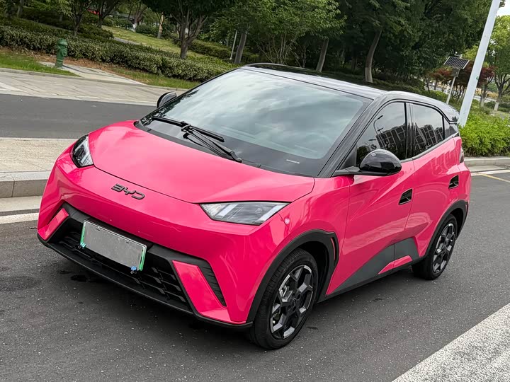 Seagull 2024 Honor Edition 305km Free Edition