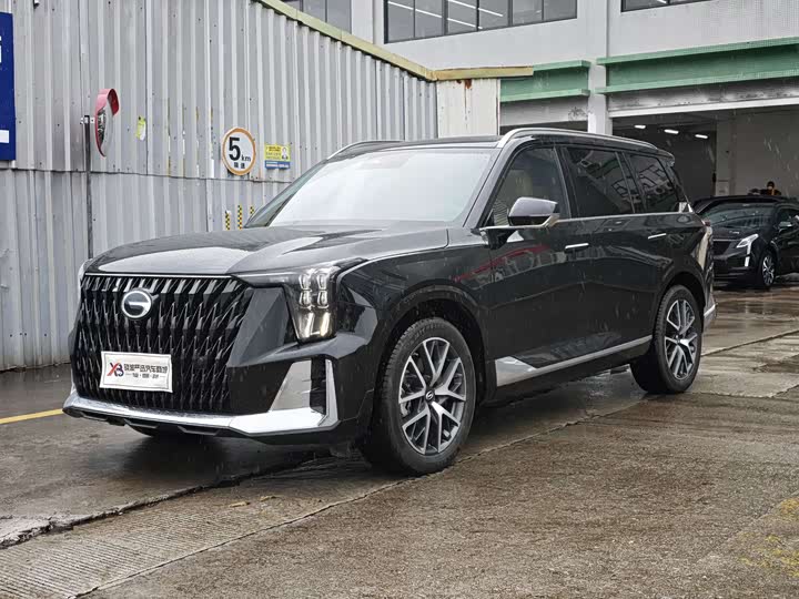 2024 Trumpchi GS8 2024 Dual Engine Series 2.0TM Two-wheel drive Premium Edition