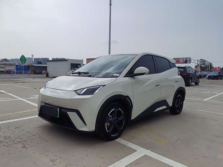 Seagull 2023 Free Edition