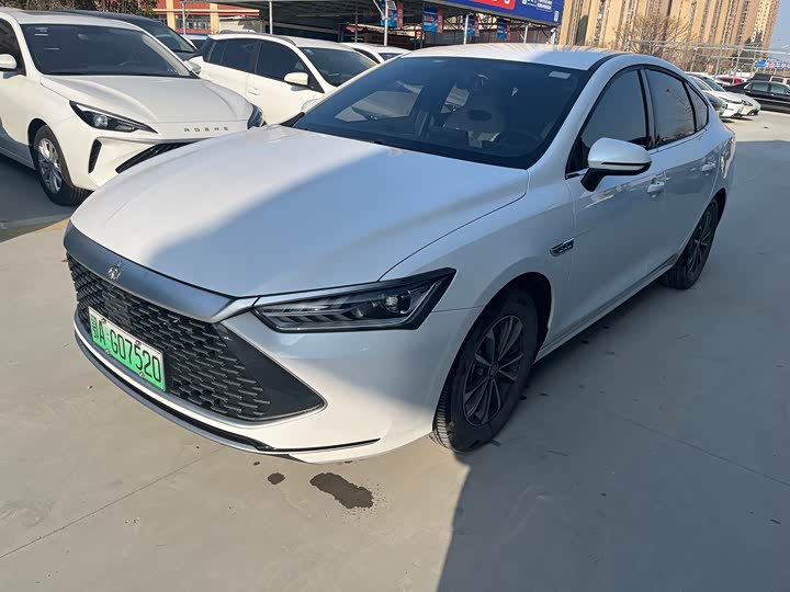 Qin PLUS 2024 Honor Edition DM-i 55KM Leading Type