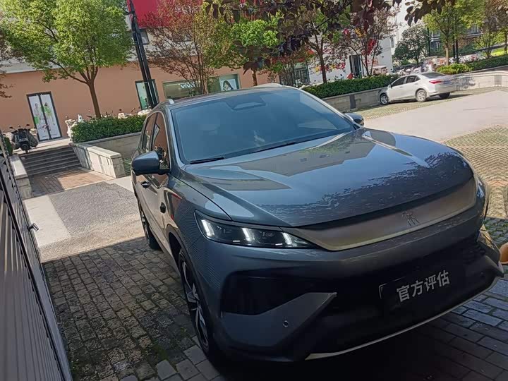 Song Pro New Energy 2026 DM-i 220KM Transcendent Type
