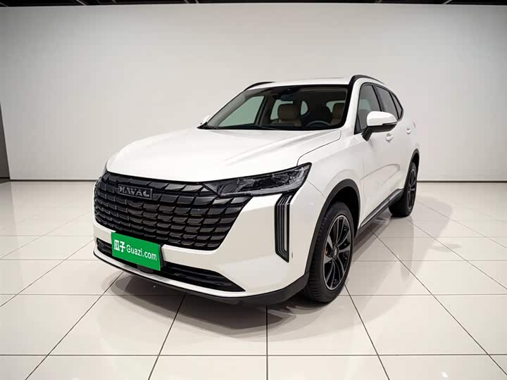 Haval H6 2024 1.5T two-wheel drive Max
