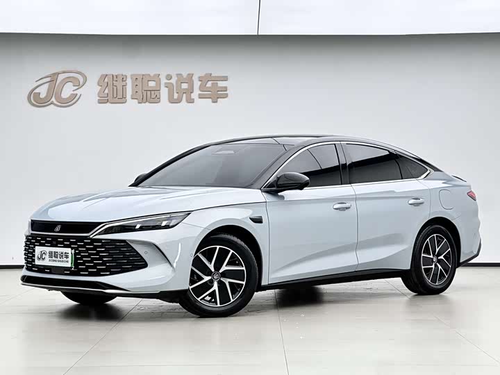 Qin L 2025 DM-i smart driving version 120KM leading model