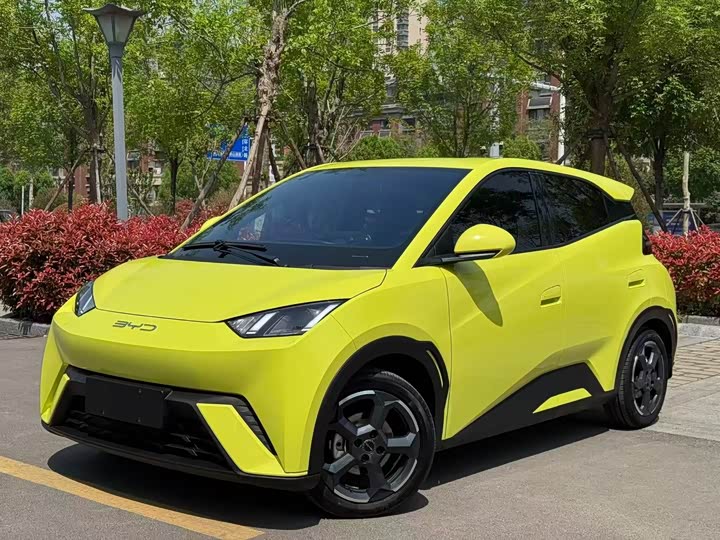 Seagull 2024 Honor Edition 305km Free Edition