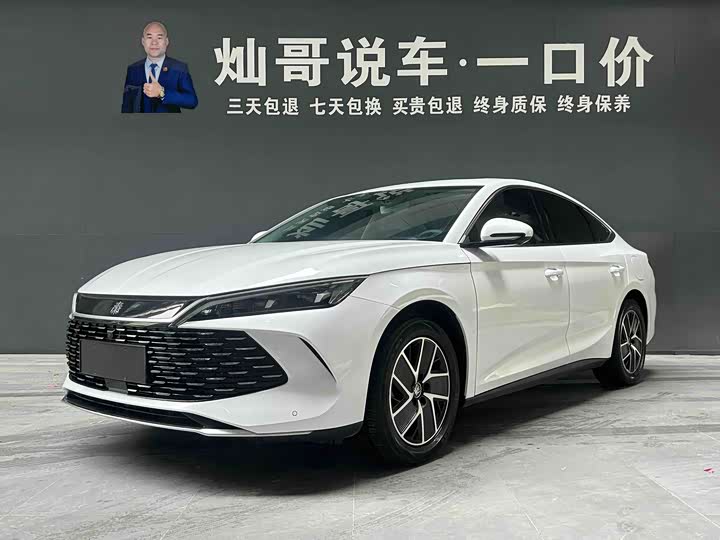 Qin L 2024 DM-i 120KM transcendent model