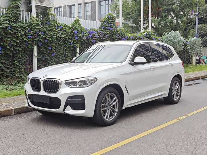 2021 BMW X3 2021 xDrive25i M Sports Package