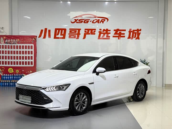 Qin PLUS 2024 Honor Edition DM-i 55KM Leading Type