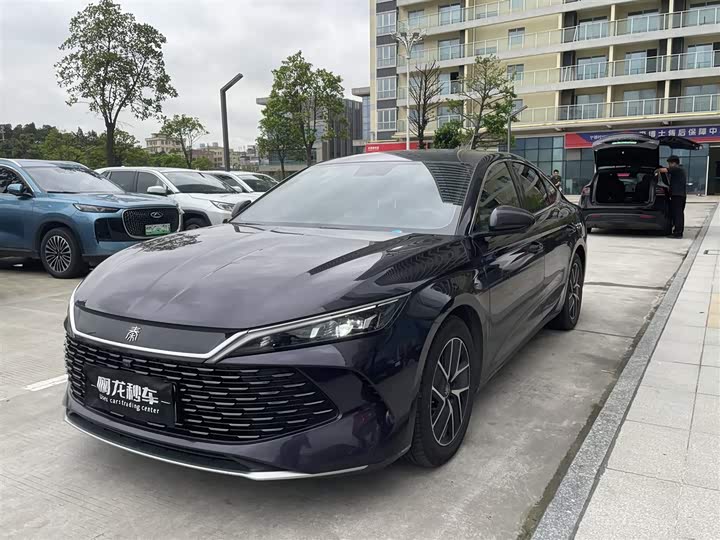 Qin L 2024 DM-i 80KM transcendent model