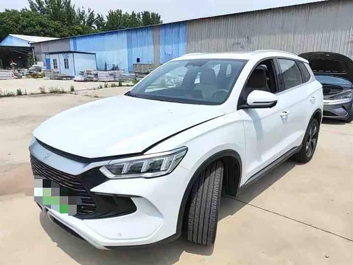 Song Pro New Energy 2024 Honor Edition DM-i 110KM Transcendence