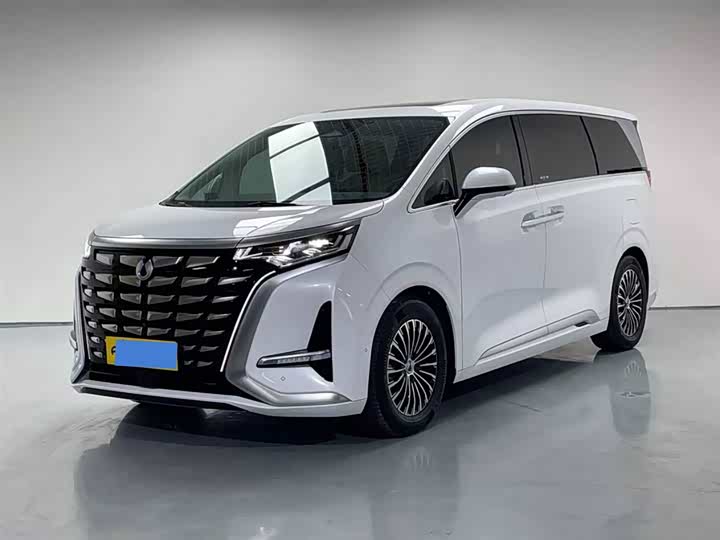 Denza D9 2024 DM-i 980 four-wheel drive flagship model