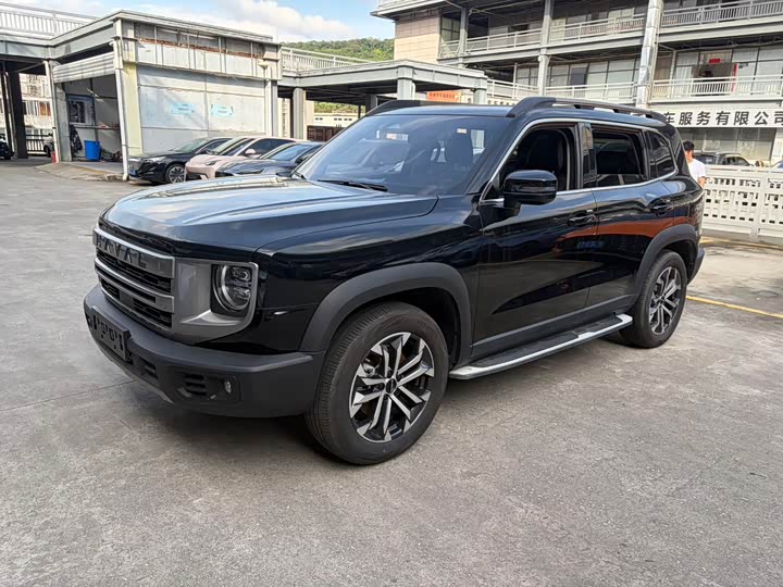 Haval Big Dog 2024 1.5T DCT Border Collie Edition
