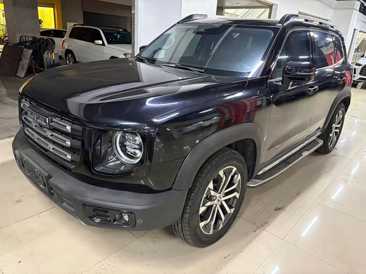 Haval Big Dog 2021 1.5T DCT two-wheel drive Border Collie version