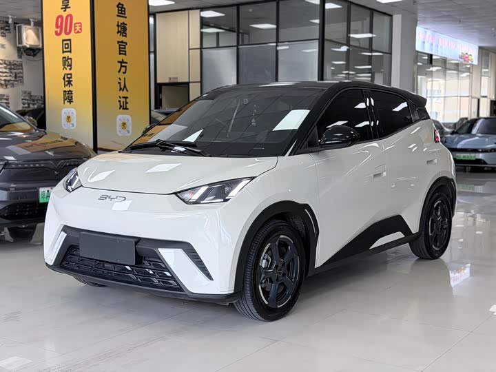 Seagull 2024 Honor Edition 305km Free Edition