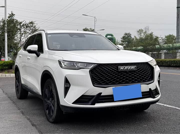 Haval H6 2021 third generation 2.0T automatic two-wheel drive Max