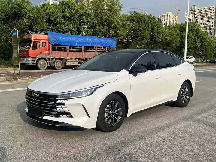Destroyer 05 2024 Honor Edition DM-i 55KM Luxury Type