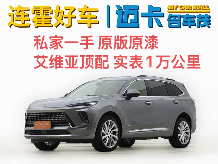 Envision Plus 2024 Envision Plus four-wheel drive Avenir