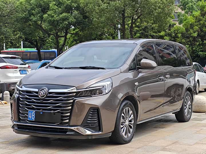 Buick GL8 2023 land business class premium type