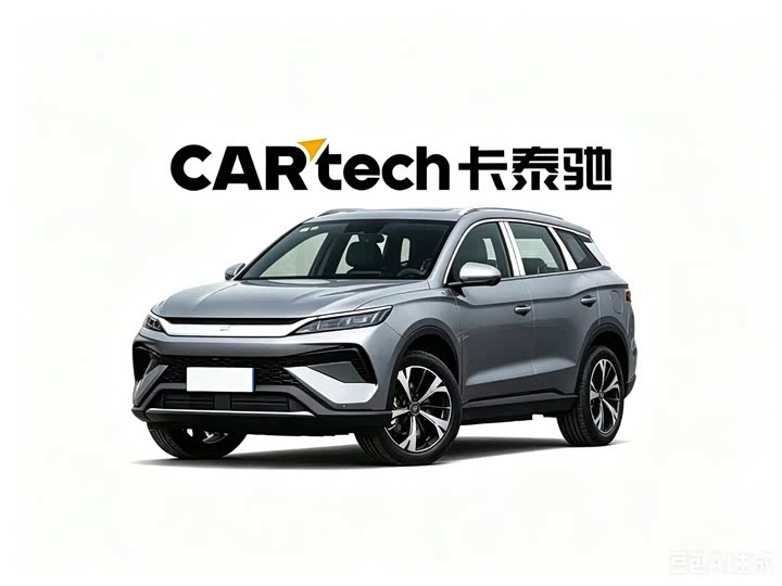 Song Pro New Energy 2026 DM-i 220KM Transcendent Type