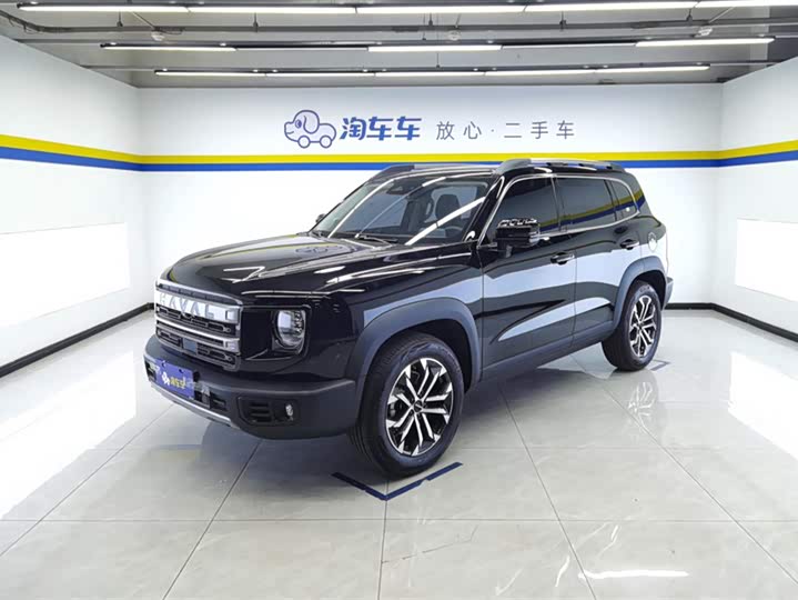 Haval Big Dog 2024 1.5T DCT Border Collie Edition