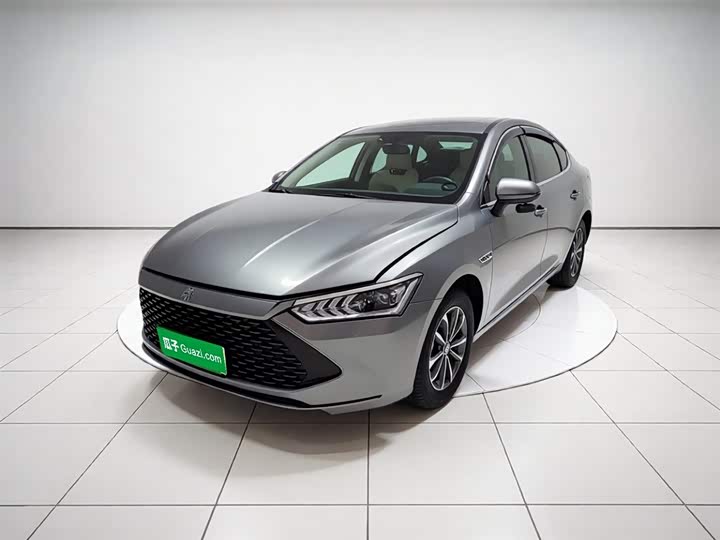 Qin PLUS 2024 Honor Edition DM-i 55KM Leading Type