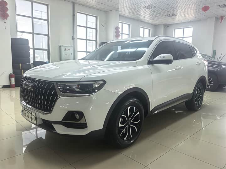 Haval H6 2023 National Fashion Edition 1.5T Automatic Urban Edition