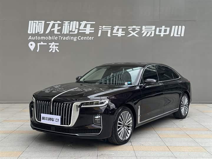 Hongqi H9 2020 2.0T Zhilian Qichang Edition