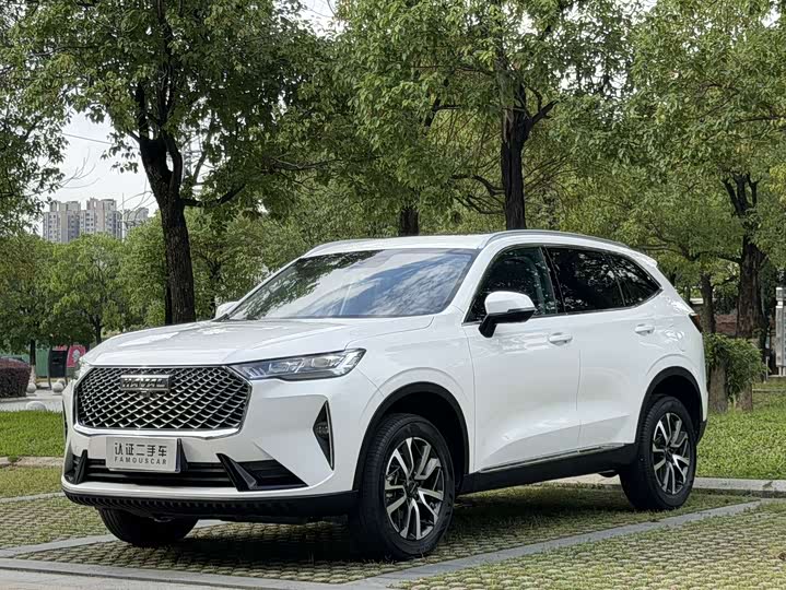 Haval H6 2021 third generation 1.5T automatic two-wheel drive Max