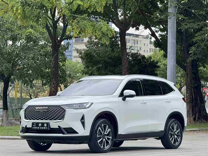 Haval H6 2021 third generation 1.5T automatic two-wheel drive Max