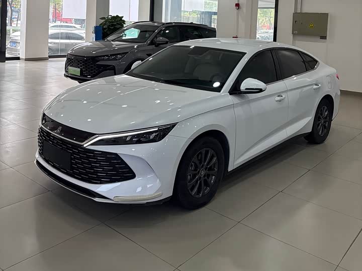 Qin L 2024 DM-i 80KM leading model