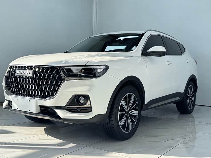 Haval H6 2023 National Fashion Edition 1.5T Automatic Champion Edition