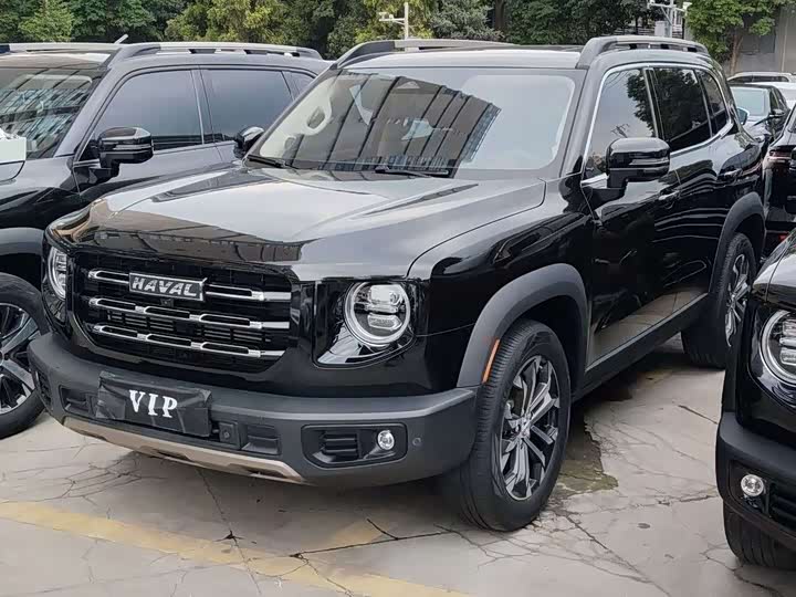 Haval Big Dog 2021 1.5T DCT two-wheel drive Border Collie version