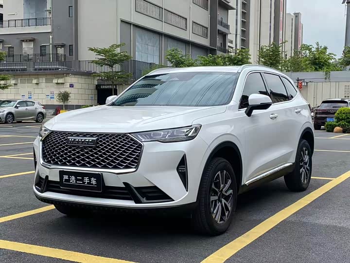 Haval H6 2024 1.5T two-wheel drive classic version