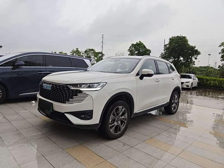 Haval H6 New Energy 2023 DHT-PHEV 110KM Yuexing Edition