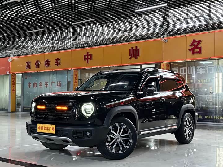 Havaldog 2022 2.0T DCT four-wheel drive Chinese pastoral dog hunting version