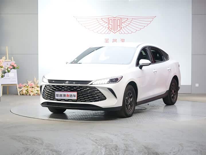 Qin PLUS 2025 DM-i smart driving version 55KM leading model