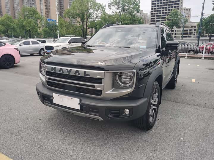 Haval Big Dog 2024 1.5T DCT Border Collie Edition