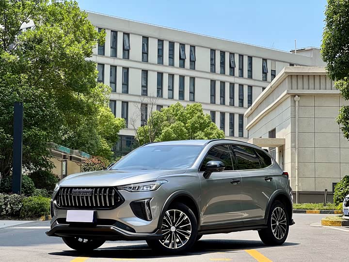 Haval Red Rabbit 2023 1.5T Dynamic Type