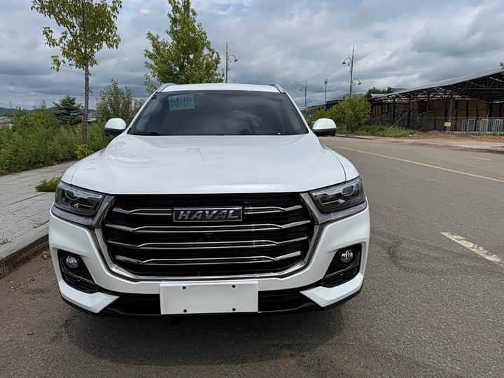 Haval H6 2021 National Fashion Edition 1.5T Automatic Champion Edition