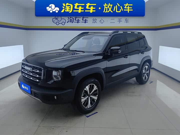 Havaldog 2022 1.5T DCT two-wheel drive Labrador version