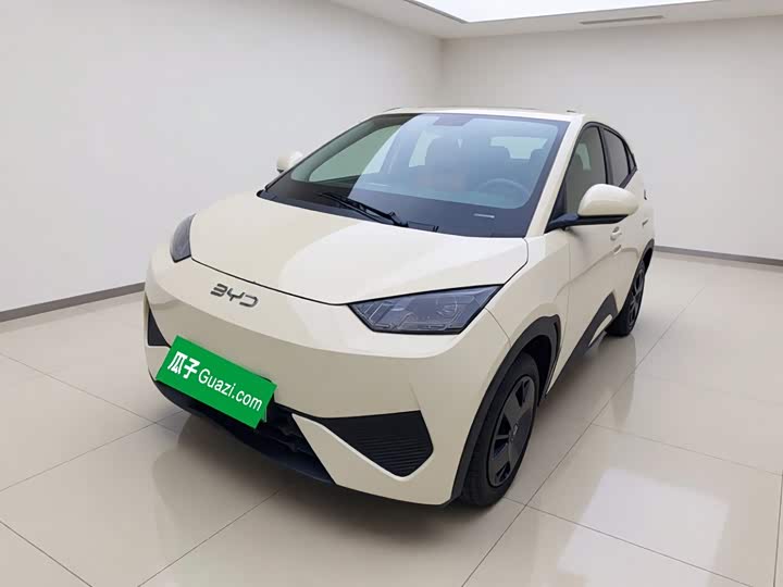 Seagull 2025 305km active version