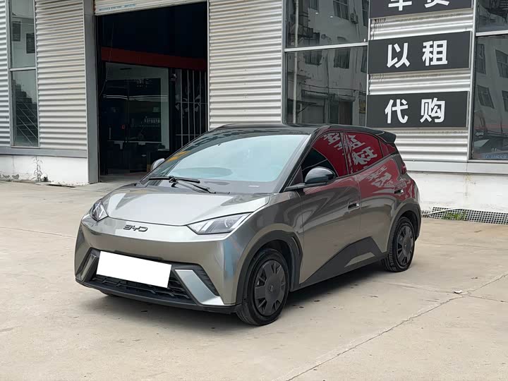 Seagull 2024 Honor Edition 305km Vitality Edition