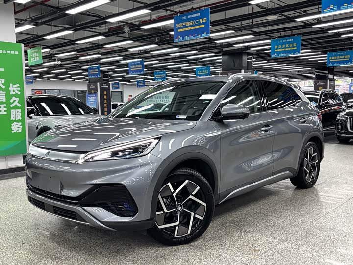 Yuan PLUS 2024 Honor Edition 510KM Transcendence