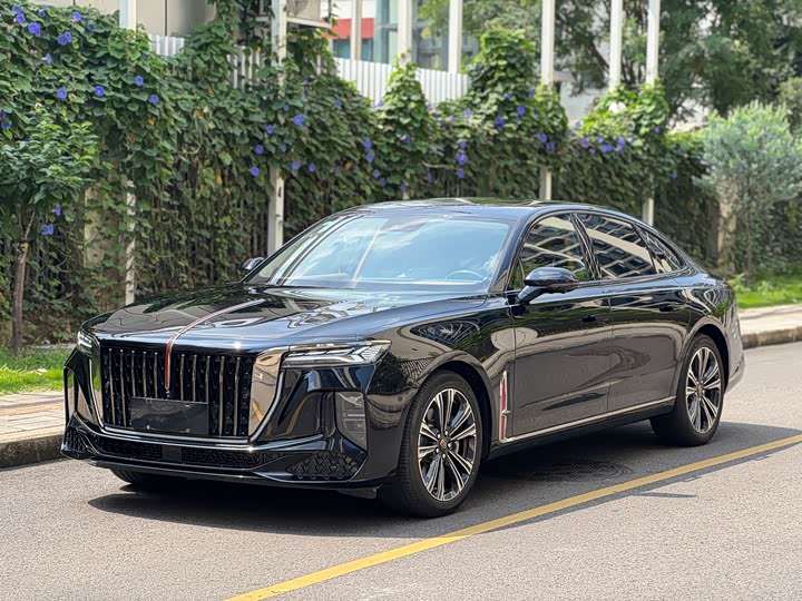 Hongqi H9 2024 2.0T Qichang Private Fashion Edition