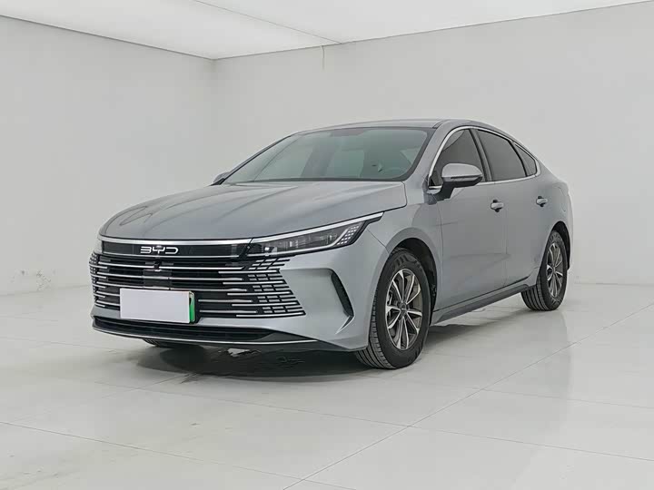 Destroyer 05 2024 Honor Edition DM-i 55KM Luxury Type