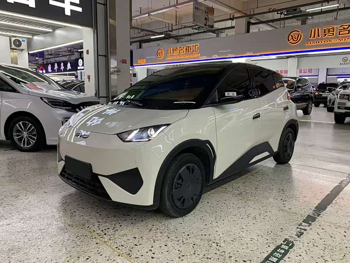Seagull 2025 305km Free Edition