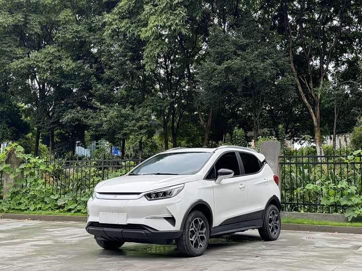 Yuan Pro 2021 401KM Premium Edition