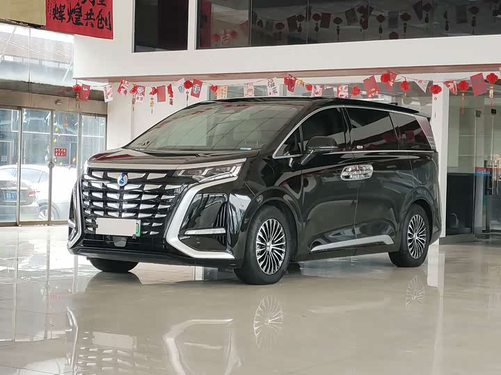Denza D9 2024 DM-i 980 four-wheel drive flagship model