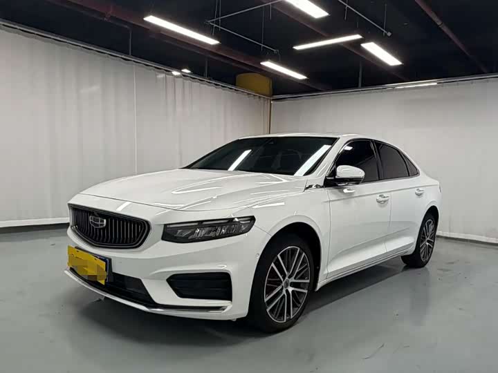 Xingrui 2021 2.0TD luxury model